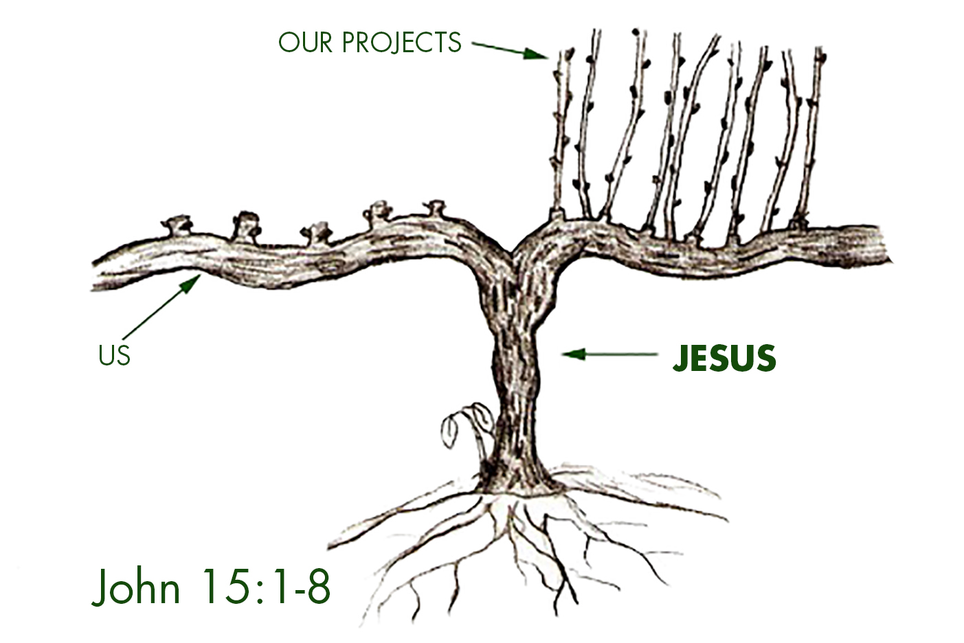 Remain in the Vine John 1518 by Revd Alex Pease Itchen Valley Churches